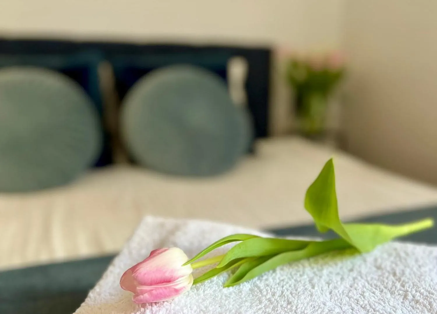 Krakow Old Town Apartment Jacuzzi - Wymeldowanie Do 13